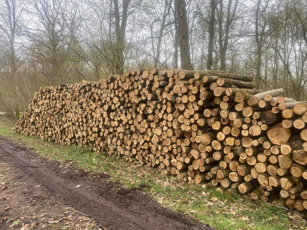 GEZOCHT: Vers Eiken Rondhout / Stamhout (12-16 cm dikte), Tuin en Terras, Ophalen, Eikenhout, Stammen