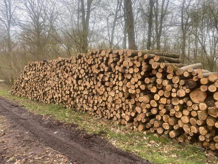 GEZOCHT: Vers Eiken Rondhout / Stamhout (12-16 cm dikte), Tuin en Terras, Brandhout, Stammen, Eikenhout, Ophalen