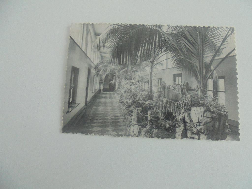 antwerpen-st.camilliusgesticht-wintertuin, Verzenden, 1940 tot 1960, Ongelopen, Antwerpen