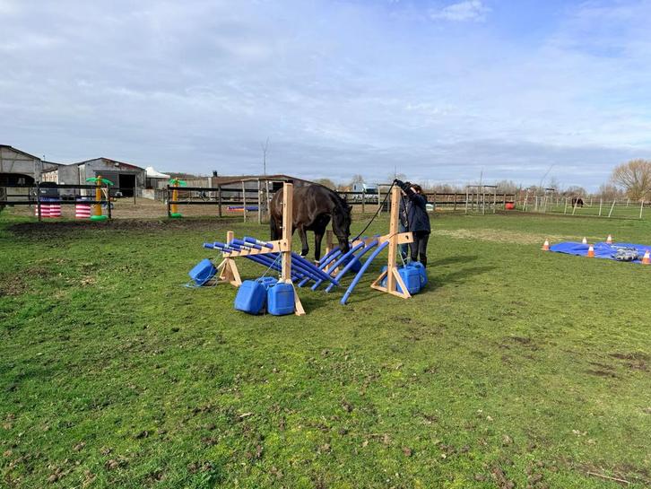 Schrik- en obstakeltraining lesdag, Dieren en Toebehoren, Paarden