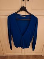 Nieuwe heel mooie dames gilet, Nougat, mooi blauw, Kleding | Dames, Blauw, Maat 42/44 (L), Nieuw, Ophalen of Verzenden