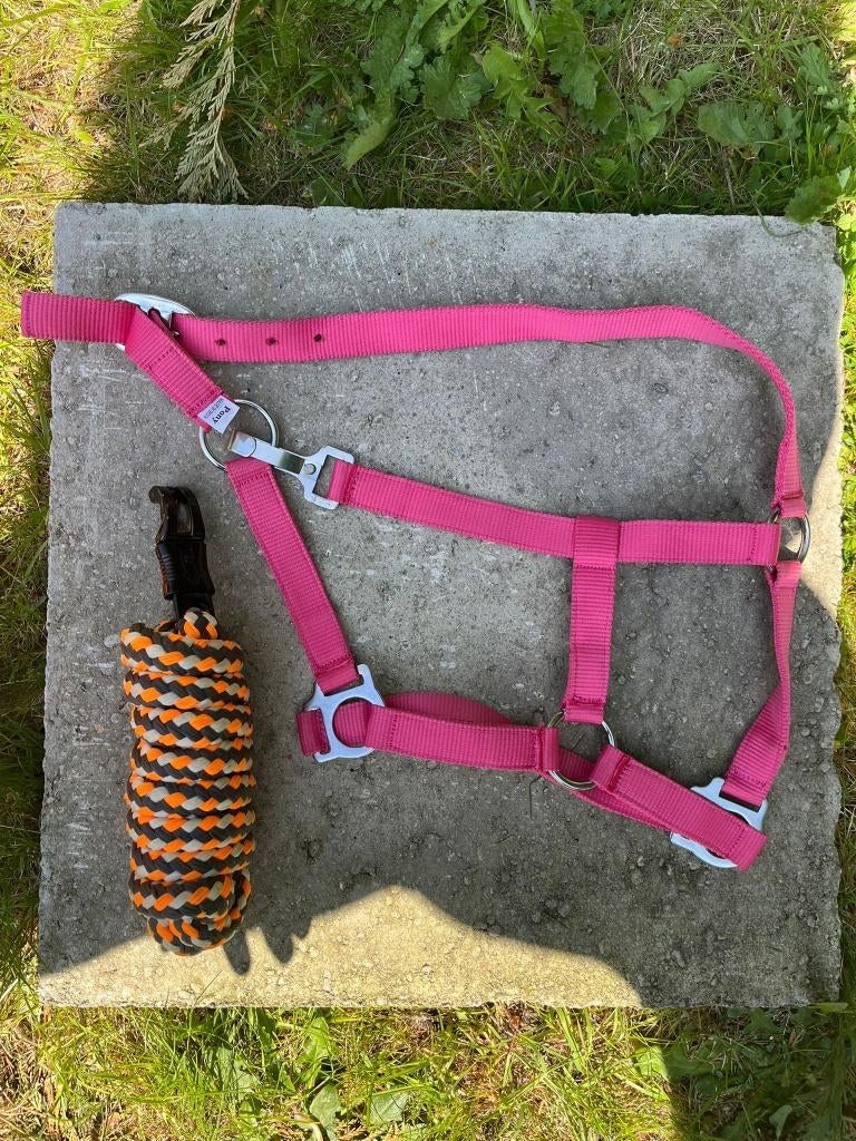 Halster touw pony, Animaux & Accessoires, Chevaux & Poneys | Brides & Harnachement, Enlèvement, Neuf