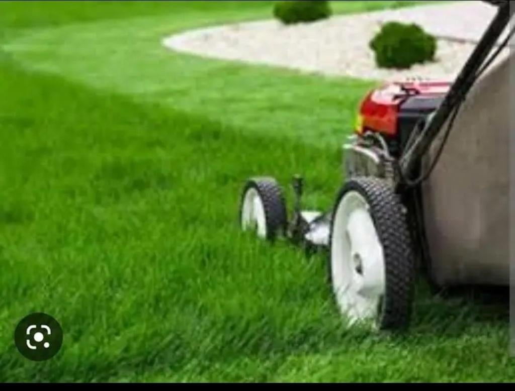 Grasmaaien, Jardin & Terrasse, Tondeuses à gazon, Neuf, Enlèvement