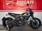 Scrambler Icon, Motos, Entreprise, 800 cm³, 2 cylindres, Permis Moto A2 minimum