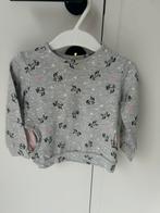 Dun truitje met unicorns - Hema - mt 80, Kinderen en Baby's, Babykleding | Maat 80, Ophalen of Verzenden, Zo goed als nieuw, Meisje