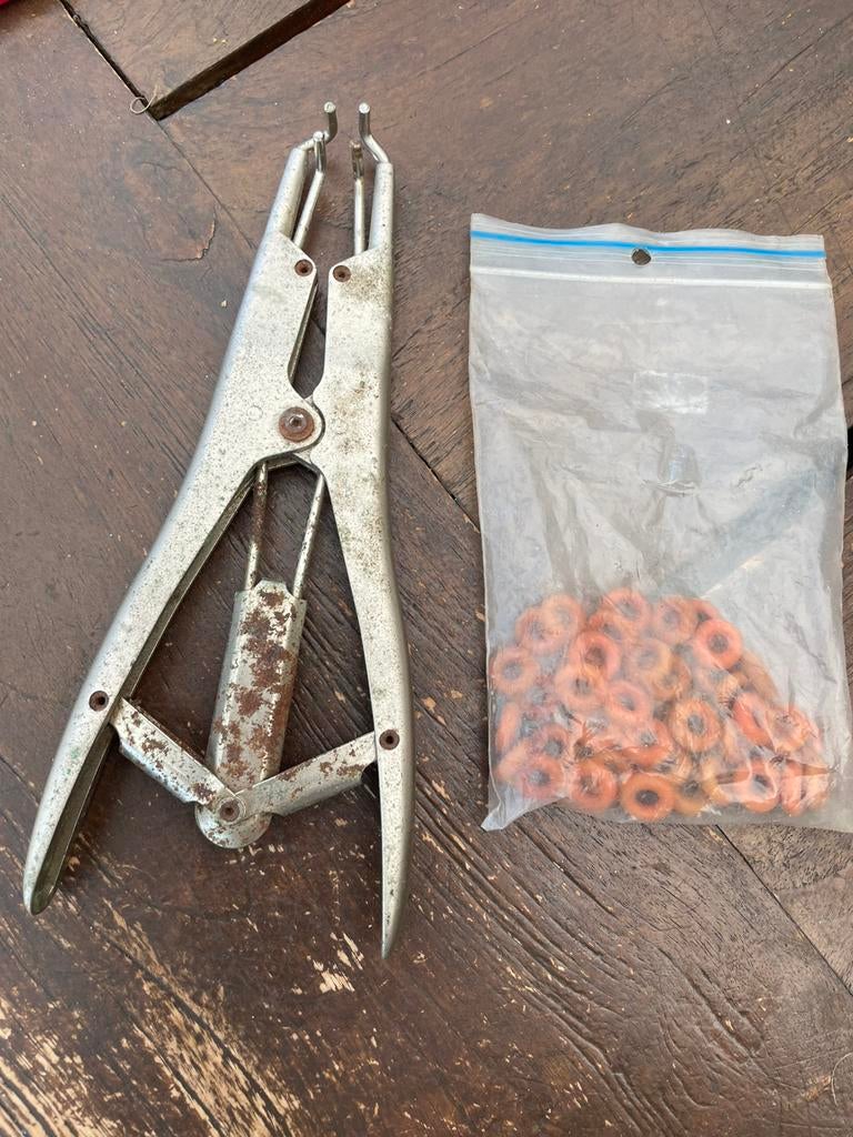 Tang voor schapen met elastiekjes, Dieren en Toebehoren, Schapen, Geiten en Varkens, Schaap