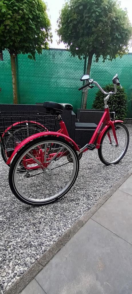 Driewieler voor volwassenen., Ophalen