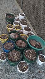 Steentjes voor onderlaag oprit of terras, Tuin en Terras, Ophalen of Verzenden