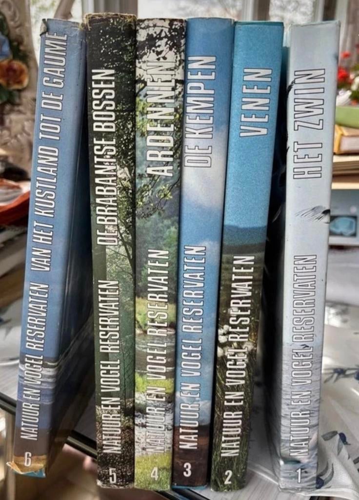 9 artis historia boeken, Livres, Livres d'images & Albums d'images, Enlèvement, Comme neuf