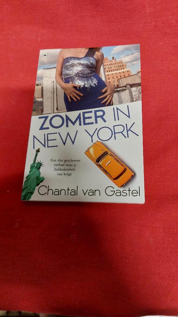 Zomer in New York Chantal Van Gastel, Boeken, Chicklit, Zo goed als nieuw, Ophalen