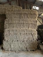 Hooi voor het eerst gemaaid juli 2025, Ophalen, Vee