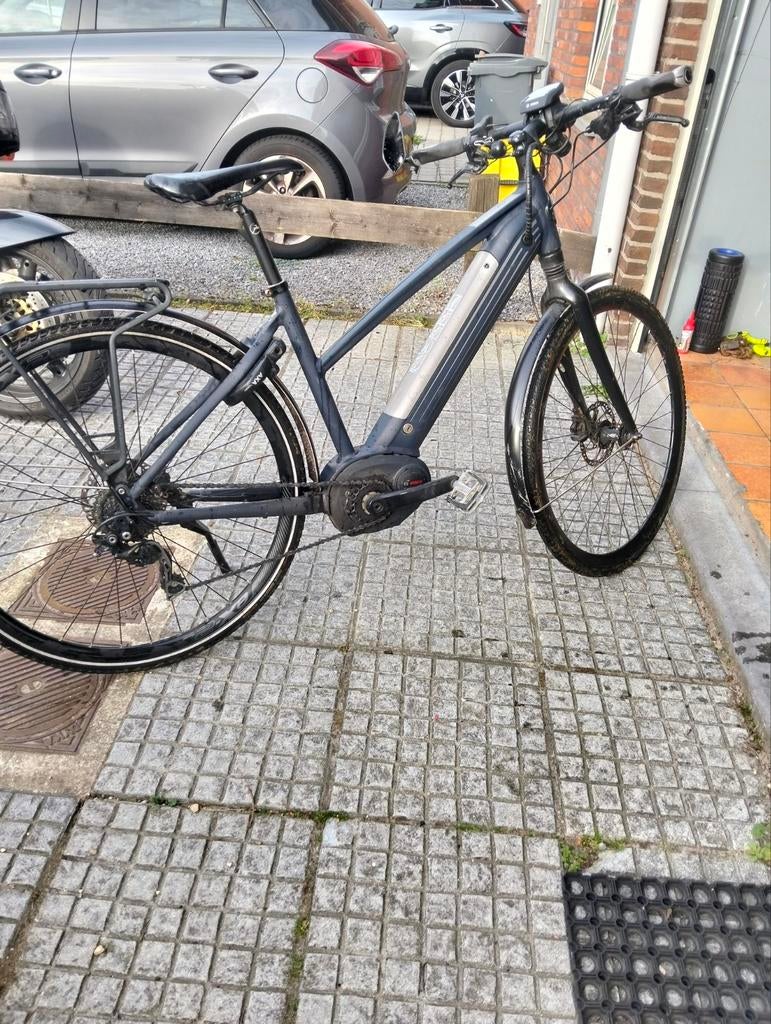 Gazelle, Enlèvement, Gazelle