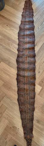 Slangenhuid 2m60, Ophalen of Verzenden