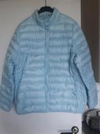 Nieuw, lichtgroen vestje thermolactyl by Damart. Maat : L., Overige kleuren, Maat 42/44 (L), Nieuw, Ophalen of Verzenden