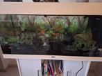 Aquarium 150L, Ophalen, Gebruikt, Leeg aquarium
