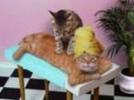 zoek dame die (m60+) een full body massage komt geven