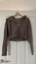 Dames cardigan zara, Kleding | Dames, Jasjes, Kostuums en Pakken, Ophalen, Zo goed als nieuw, Maat 42/44 (L), Paars