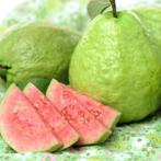 Guave heerlijke exotische peervormige super gezonde vrucht., Zomer, Vaste plant, Fruitplanten, Ophalen of Verzenden