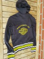 HARLEY DAVIDSON HOODIE, Overige typen, Harley Davidson, Ophalen of Verzenden, Dames
