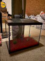 Te koop, Dieren en Toebehoren