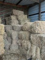 Hooibalen, Dieren en Toebehoren, Ophalen