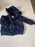 Baby sweater 9 maand, Ralph Lauren, Kinderen en Baby's, Babykleding | Maat 74, Ophalen, Zo goed als nieuw