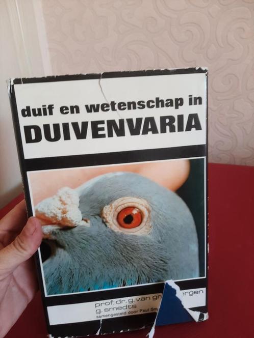 Boek Duif en wetenschap in Duivenvaria – Grembergen, Boeken, Dieren en Huisdieren, Gelezen, Ophalen of Verzenden