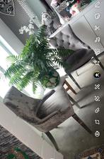 Quatre. Splendide chaise de salle à manger., Tissus, Enlèvement ou Envoi, Autres couleurs, Comme neuf