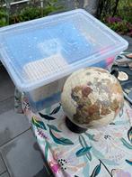 Kavel op de rommelmarkt, Diversen, Rommelmarktspullen, Ophalen, Zo goed als nieuw