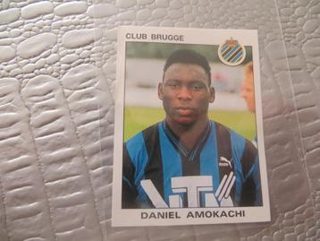 Panini Club Brugge 93 AMOKACHI zeldzaam beschikbaar voor biedingen