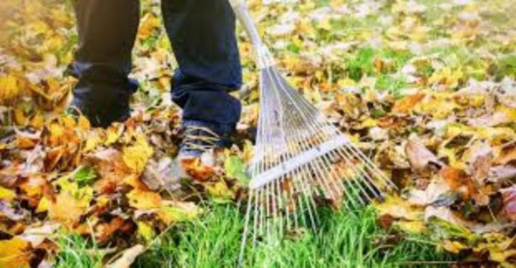 blader opruim service ...., Tuin en Terras, Overige Tuin en Terras, Zo goed als nieuw, Ophalen