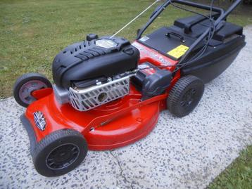 Tondeuse ROVER PROCUT560 B&S INTEK OHV65 beschikbaar voor biedingen