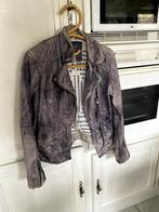 Jasje Guess, Kleding | Heren, Ophalen, Overige maten, Zo goed als nieuw, Grijs