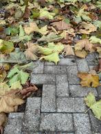 GRATIS Terras Klinkers, Tuin en Terras, Tegels en Klinkers, Ophalen, Gebruikt, Klinkers, 10 m² of meer