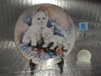 Assiettes en fine porcelaine (chats), Ophalen of Verzenden