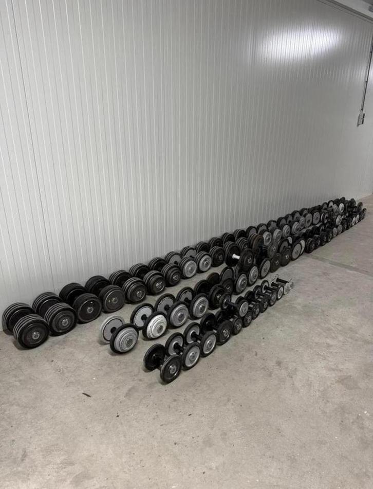 Dumbell set 1117 kg / dumbells / halters / koopje, Sport en Fitness, Fitnessmaterialen, Gebruikt, Overige typen, Armen, Benen