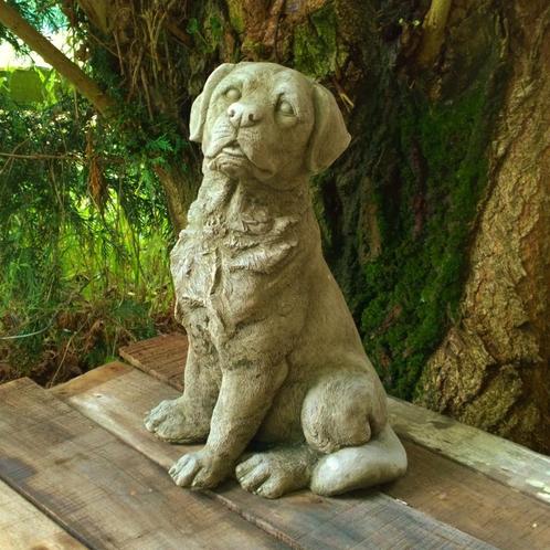 Betonnen tuinbeeld - labrador, Jardin & Terrasse, Statues de jardin, Neuf, Animal, Béton, Enlèvement ou Envoi