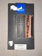 Set Schwalbe Racing Ralph en Racing Ray 29 inch - 2.25 inch, Band, Schwalbe, Nieuw, Mountainbike