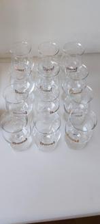 Duvelglazen apero 12 stuks 16 cl nieuw, Ophalen of Verzenden, Nieuw, Glas of Glazen, Duvel