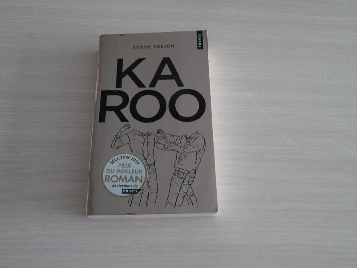 KAROO     STEVE TESICH, Boeken, Romans, Zo goed als nieuw, Amerika, Ophalen of Verzenden