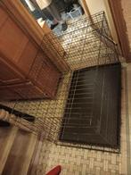 Cage chien, Enlèvement