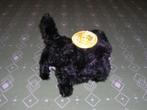 Lopend en blaffend hondje
