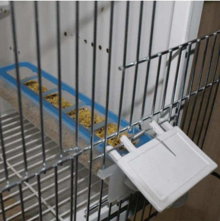 Apollo Feeder - Moldes Ave, Dieren en Toebehoren, Vogels | Hokken en Kooien, Nieuw, Overige materialen, Ophalen