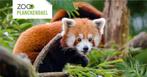4 tickets zoo planckendael voor 19/07, Tickets en Kaartjes