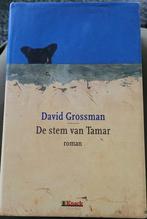Roman - livre de lecture - La voix de Tamar, Livres, Comme neuf, Grossman David, Enlèvement ou Envoi