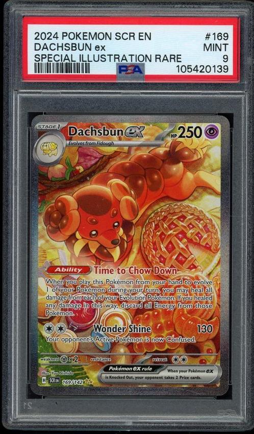 Dachsbun ex [SIR] PSA 9 - 169/142 -Stellar Crown 2024, Hobby en Vrije tijd, Verzamelkaartspellen | Pokémon, Zo goed als nieuw