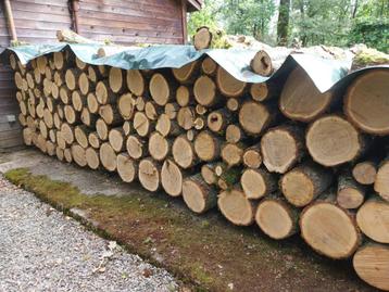 Bois de chauffage en chêne