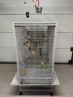 Vogel kooi, Dieren en Toebehoren, Ophalen, Gebruikt, Overige materialen, Vogelkooi