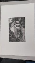 4 prachtige Etsen, Antiek en Kunst, Kunst | Etsen en Gravures, Ophalen