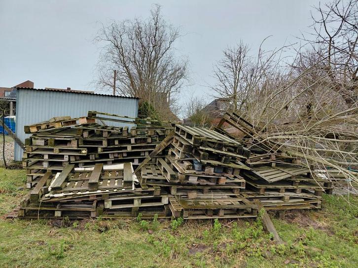 Gratis brandhout, Tuin en Terras, Brandhout, Takken, Ophalen